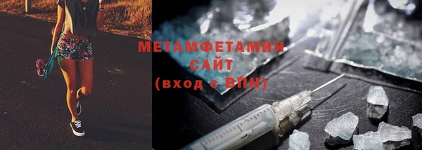 прущие грибы Медвежьегорск