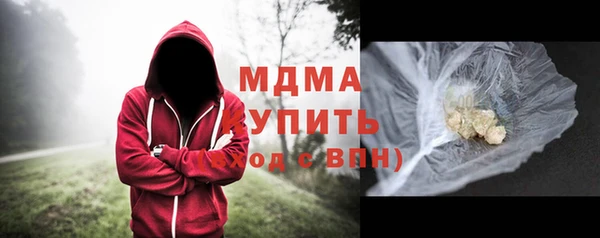 прущие грибы Медвежьегорск