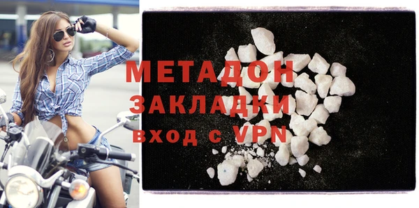 прущие грибы Медвежьегорск