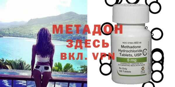 прущие грибы Медвежьегорск