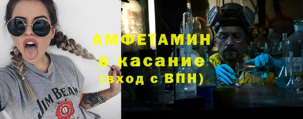прущие грибы Медвежьегорск