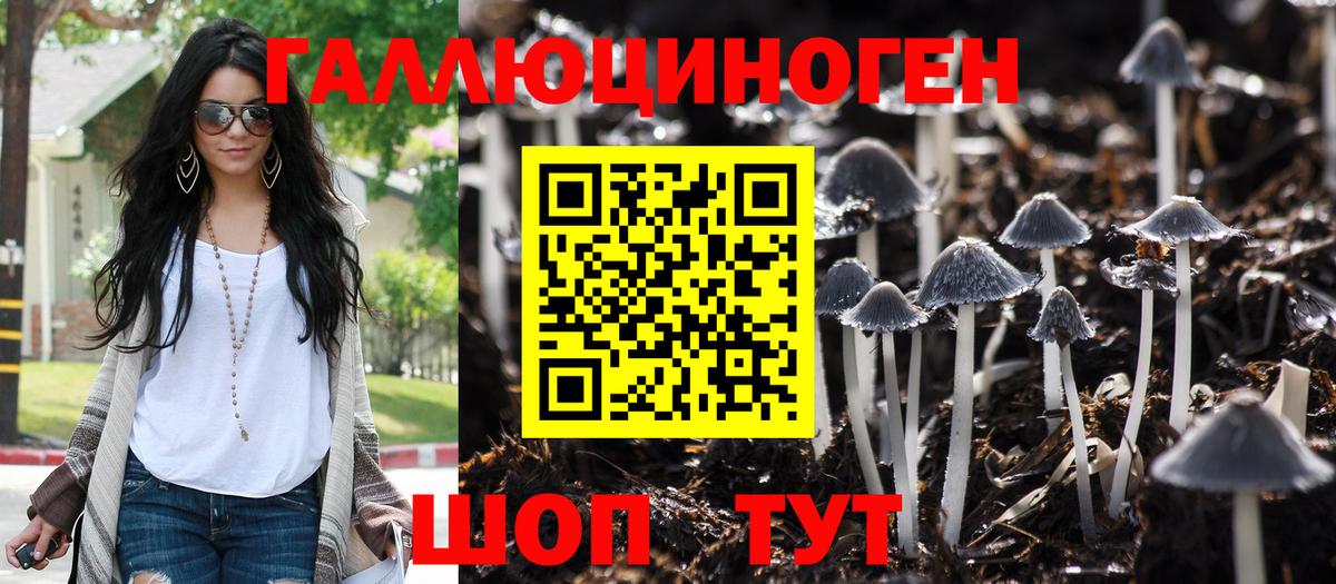 Галлюциногенные грибы мухоморы  купить  сайты  Новоалександровск 