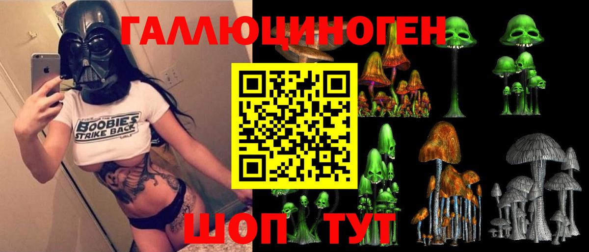 Псилоцибиновые грибы ЛСД  Вход с VPN  Галлюциногенные грибы Psilocybine cubensis  Новоалександровск 