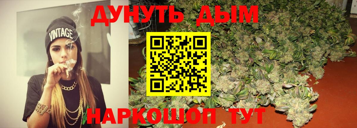 Канабис семена  Новоалександровск  Канабис MAZAR  Бошки Шишки ГИДРОПОН 